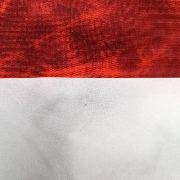 Vans Men's Era Board Shorts - Picture 4 of 4